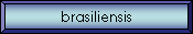 brasiliensis