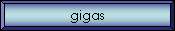 gigas