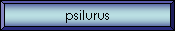 psilurus