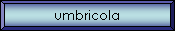 umbricola