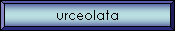 urceolata